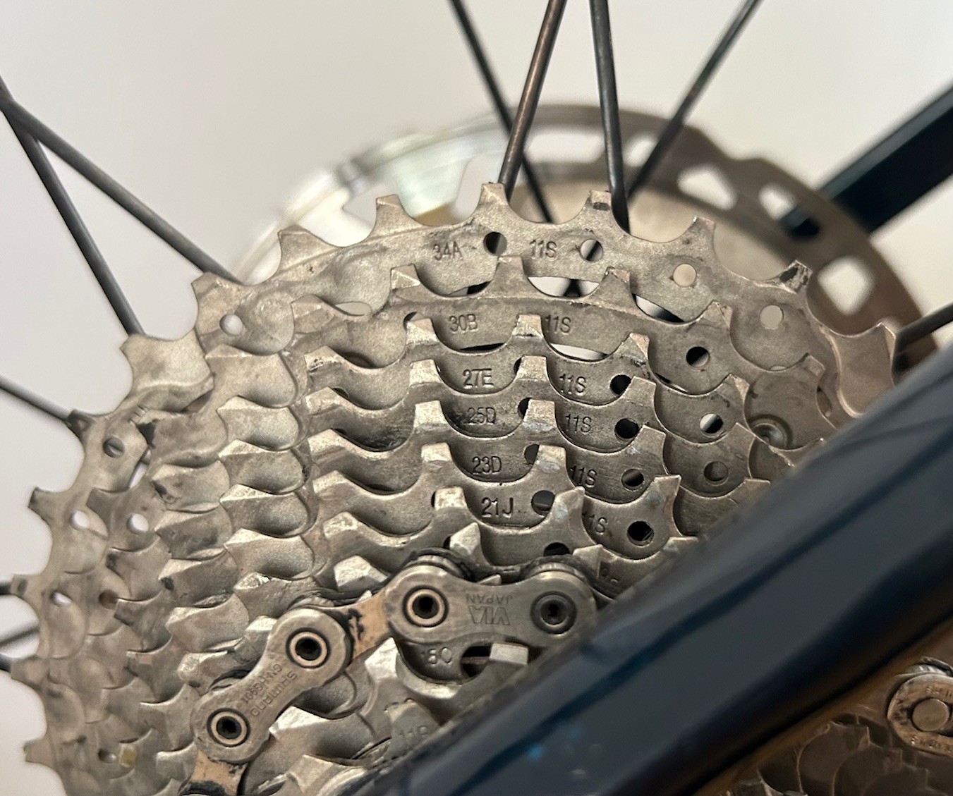 Orca-Orbea-Terra-M20i-Team-2023-L-07