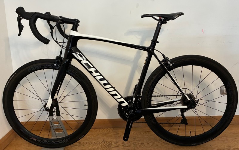 Schwinn-Fastback-Tuned-Road-L-2019-02