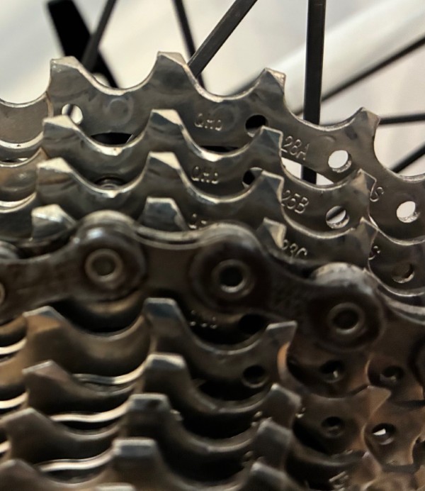 Schwinn-Fastback-Tuned-Road-L-2019-06