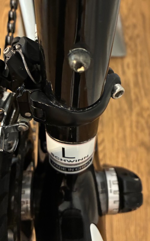 Schwinn-Fastback-Tuned-Road-L-2019-10