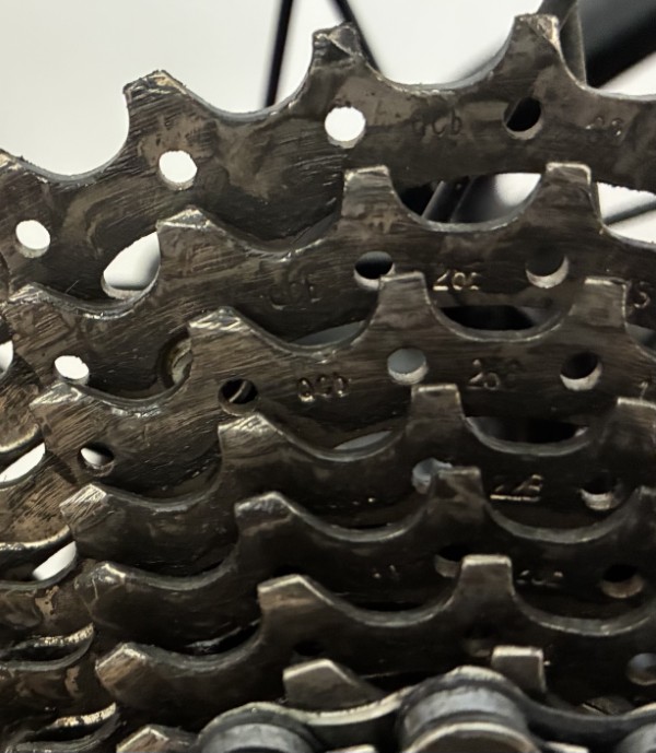 Trel-Emonda-SL5-50-2019-07