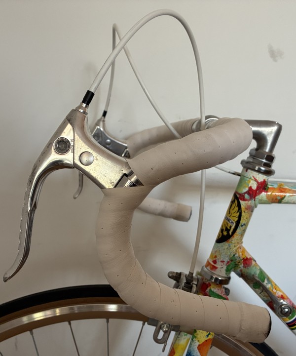Bianchi-1980-55-15