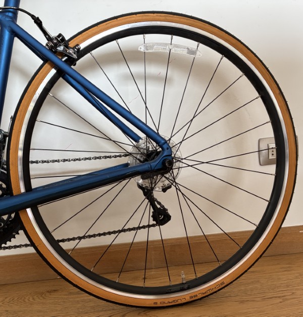 Scott-Speedster-20-2022-XS-20