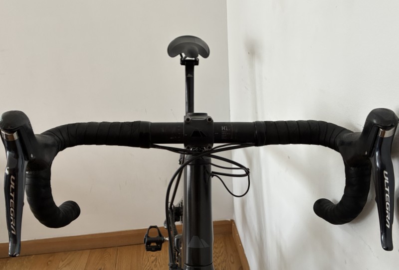 Canyon-Endurance-CF-2019-L-15