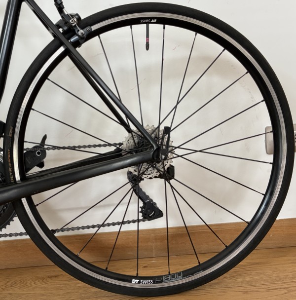 Canyon-Endurance-CF-2019-L-19